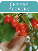 chery-picking