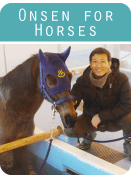onsen-for-horses