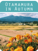 otamamura