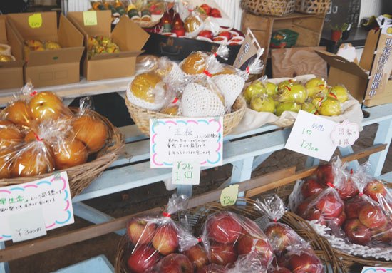 anzai-kajuen-fukushima-9