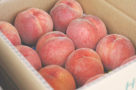 fukushima-fruit-peach-2