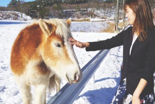 yamatsumi-jinja-pony-3