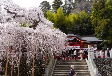 ogawasuwa-shrine-24