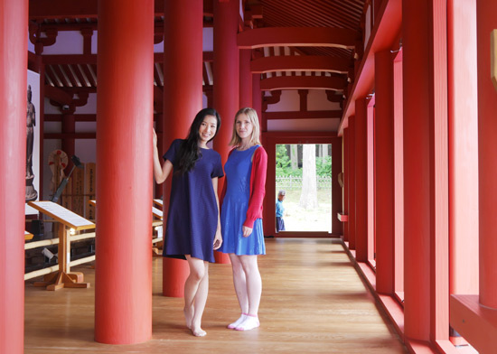 enichi ji temple fukushima bandai (10)