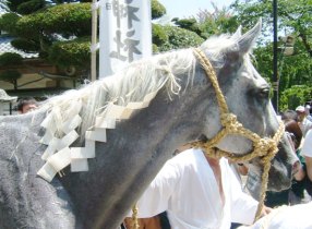fukushima soma nomaoi festival (1)