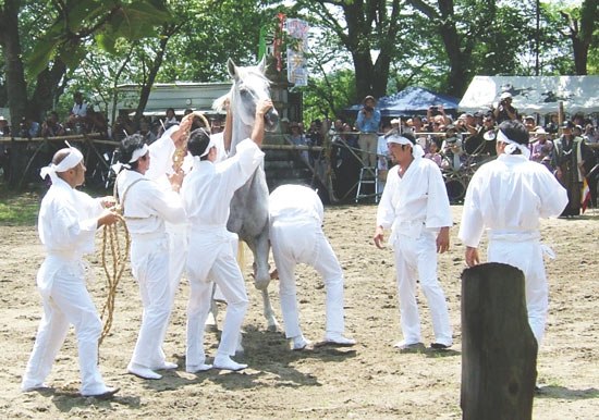 fukushima soma nomaoi festival (3)