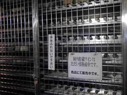 あぶくま洞-(106)