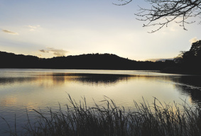 Nanko Park Shirakawa Nankokoen (18)