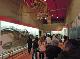 Horuru Iwaki City Coal and Fossil Museum (12)