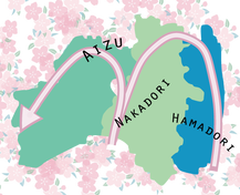 how-the-cherry-blossoms-bloom