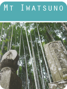 mt-iwatsuno