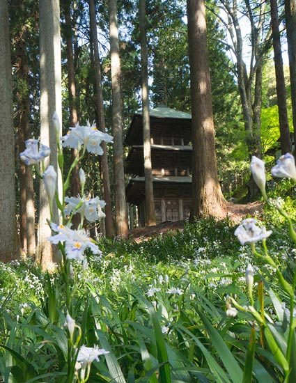 kozoji temple iwaki (1)