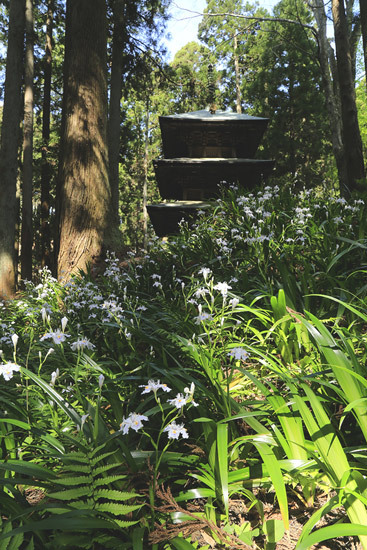 kozoji temple iwaki (3)