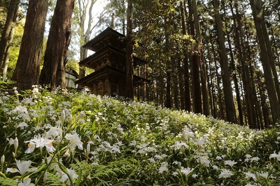kozoji temple iwaki (5)