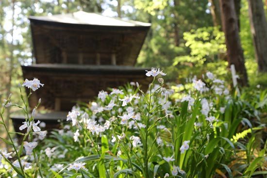 kozoji temple iwaki (7)