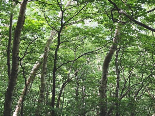 mt bandai hiking japan bandaisan (7)