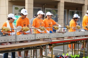 kawamata-shamo-festival