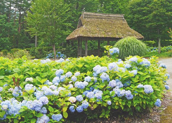 Oku Aizu Museum Tajima (1)
