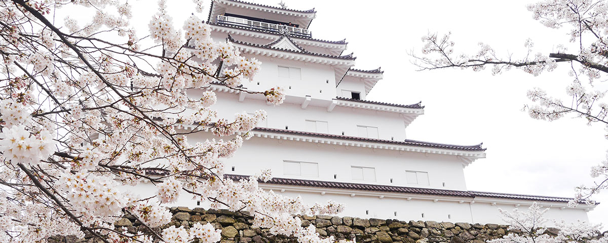 Cherry Blossom at Tsurugajo Castle
