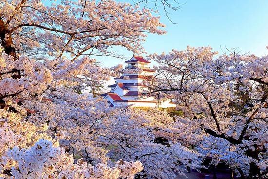 Aizu-Wakamatsu 3 (2)