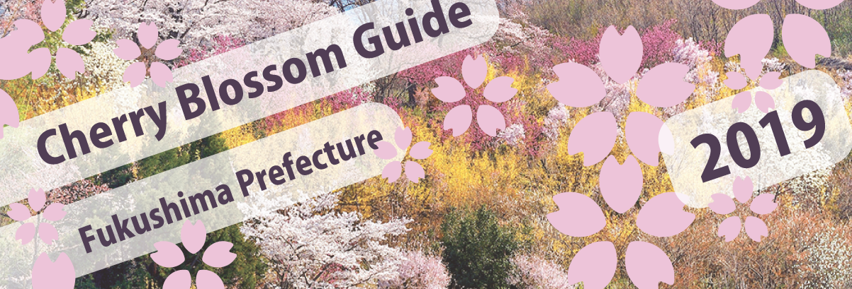 Cherry Blossom Guide 2019
