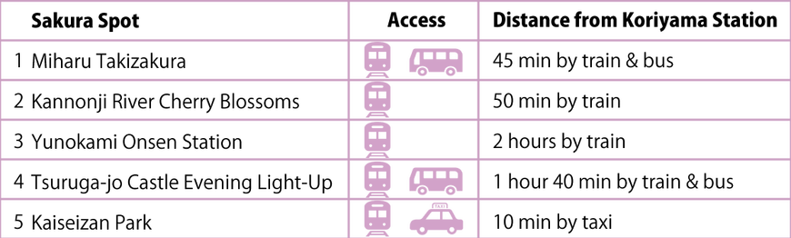 sakura-2019-illustration