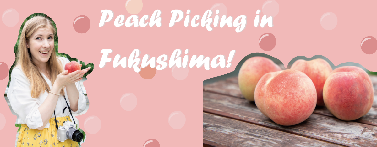 Peach Picking in Fukushima