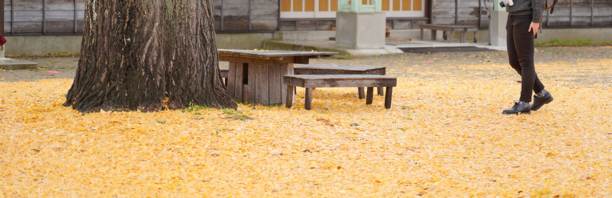 History Paused in Showa Village